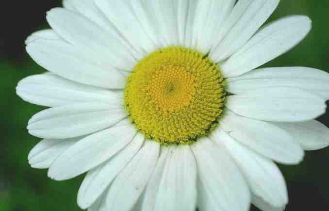 Alles &uuml;ber mein leben ihn Spanien